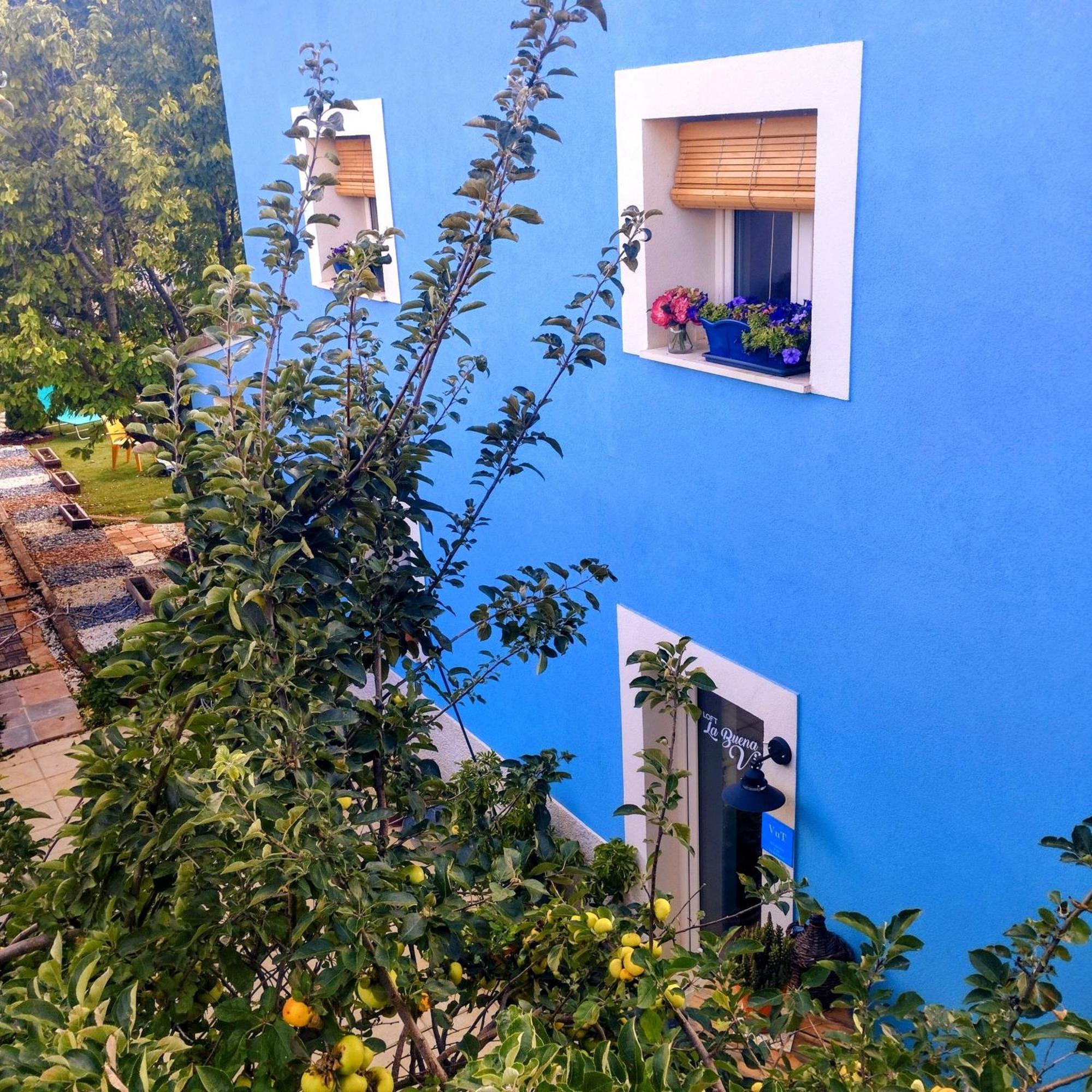 Loft La Buena Vida Leilighet Penaranda de Duero Eksteriør bilde